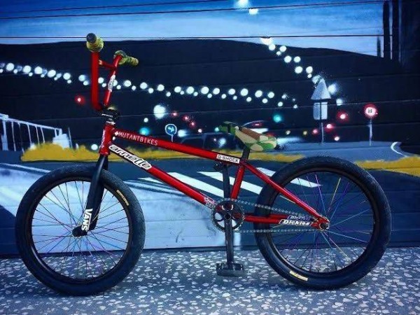 Байкчек mutantbikes Денила Пинафиела 2015